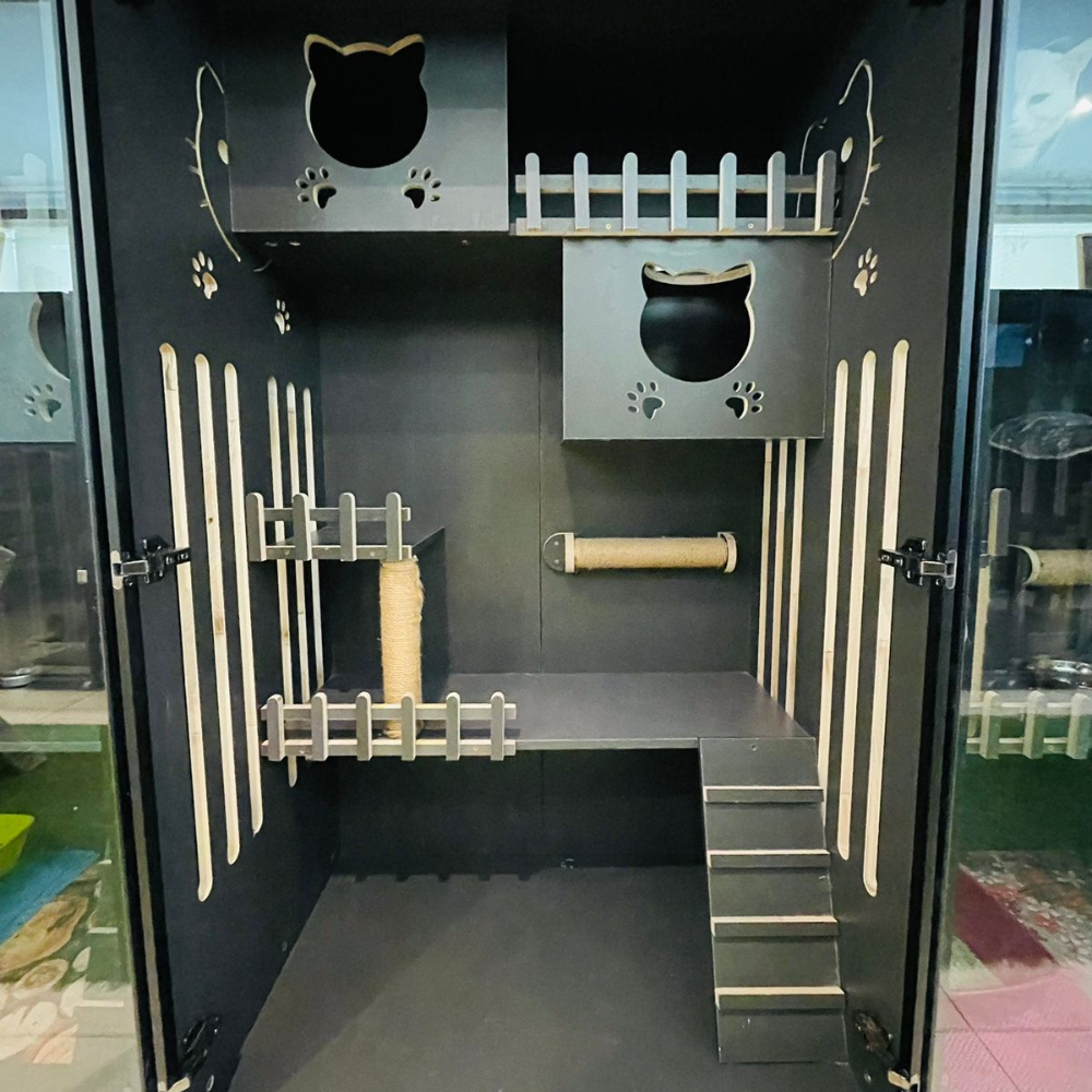 Cat Boarding Large House